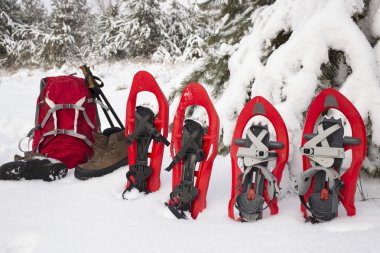 Bir çadırda bir sırt çantası ve kar ayakkabıları ile ormanda kamp. 