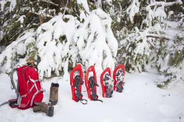 Bir çadırda bir sırt çantası ve kar ayakkabıları ile ormanda kamp. 