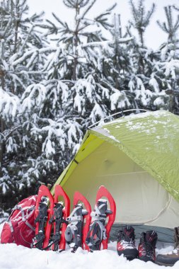 Bir çadırda bir sırt çantası ve kar ayakkabıları ile ormanda kamp. 