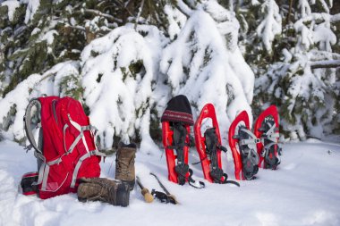 Bir çadırda bir sırt çantası ve kar ayakkabıları ile ormanda kamp. 