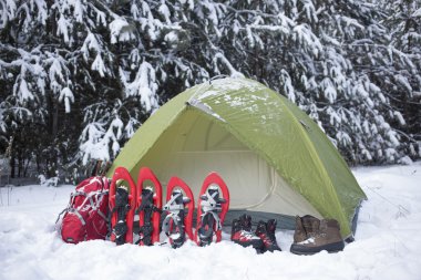 Bir çadırda bir sırt çantası ve kar ayakkabıları ile ormanda kamp. 