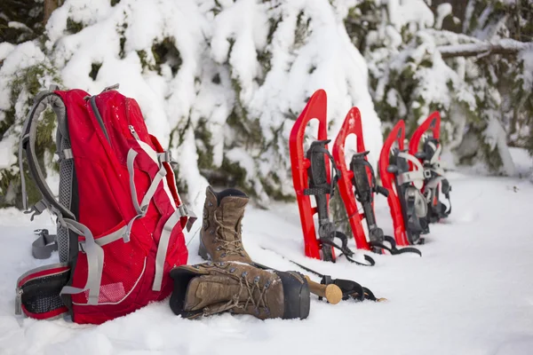 Acampar em uma tenda na floresta com uma mochila e sapatos de neve . — Fotografia de Stock
