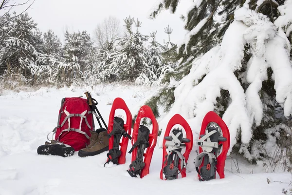 Camping en una tienda de campaña en el bosque con una mochila y raquetas de nieve . —  Fotos de Stock