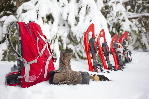 Kempování ve stanu v lese s batoh a sněžnice. — Stock fotografie