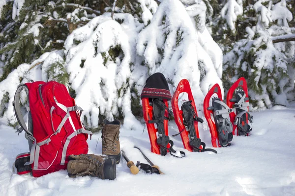ตั้งแคมป์ในเต็นท์ในป่าพร้อมกระเป๋าเป้สะพายหลังและรองเท้าหิมะ . — ภาพถ่ายสต็อก