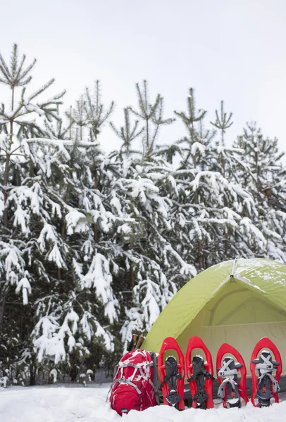 Zelten im Wald mit Rucksack und Schneeschuhen. — Stockfoto