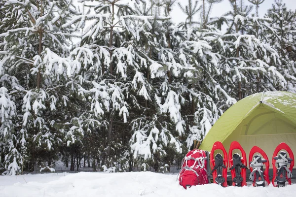 Zelten im Wald mit Rucksack und Schneeschuhen. — Stockfoto