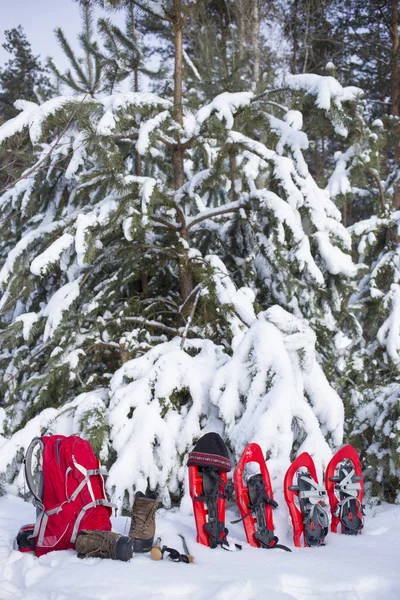 Acampar em uma tenda na floresta com uma mochila e sapatos de neve . — Fotografia de Stock