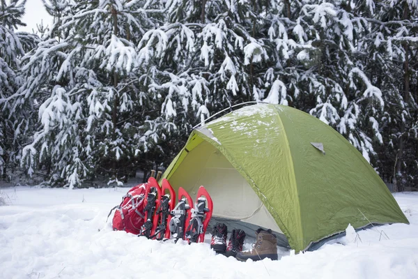 Camping i tält i skogen med en ryggsäck och snöskor. — Stockfoto