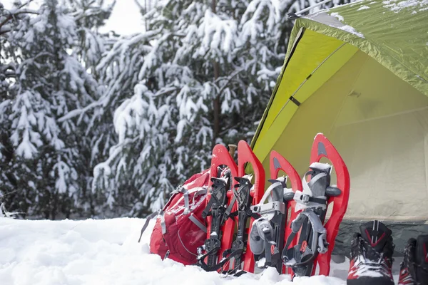 Κάμπινγκ σε μια σκηνή στο δάσος με ένα σακίδιο και χιονοπέδιλα. — Φωτογραφία Αρχείου