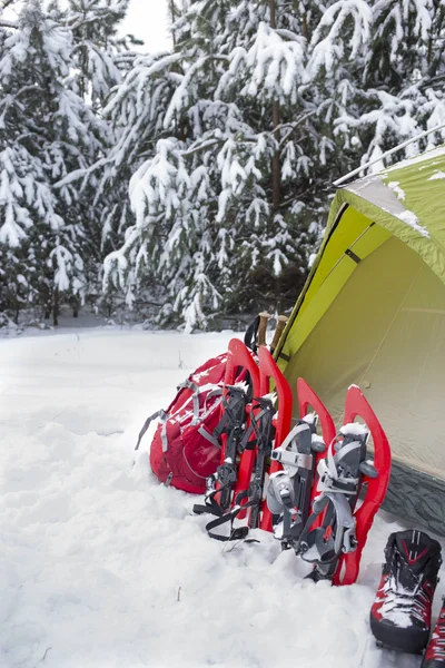 Acampar em uma tenda na floresta com uma mochila e sapatos de neve . — Fotografia de Stock