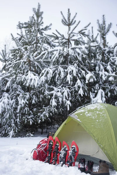 Camping i tält i skogen med en ryggsäck och snöskor. — Stockfoto