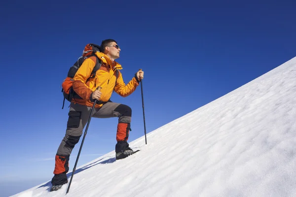 Winterwandelen in de bergen met een rugzak. — Stockfoto