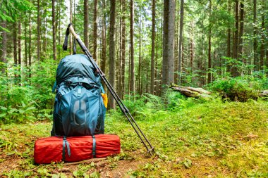 Bir sırt çantası ve çadırla dağlarda yaz yürüyüşü..