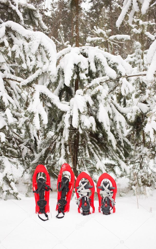 Snowshoes in the forest.
