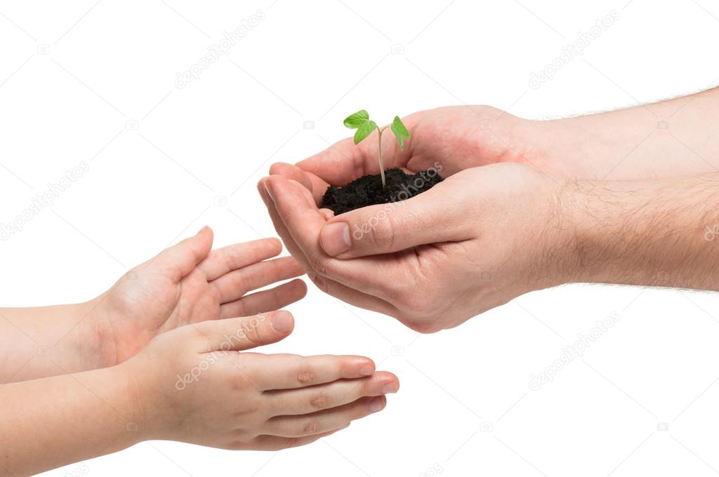 Father gives a little sprout to the baby, ecology concept