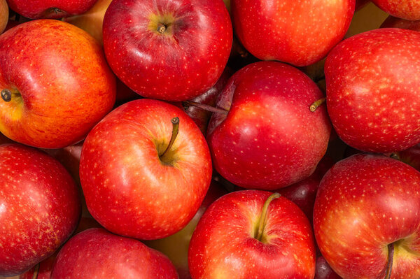 Ripe raw red gala apples top view close-up
