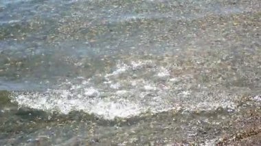 waters edge at