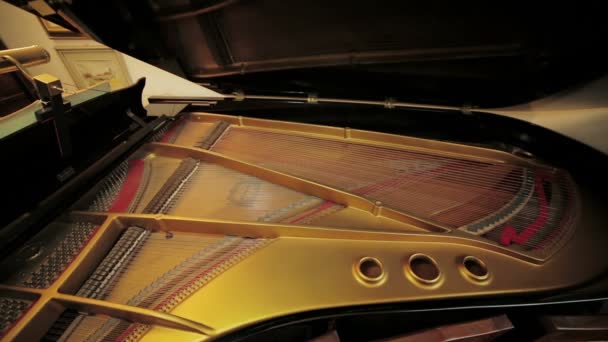 Grand piano interieur — Stockvideo