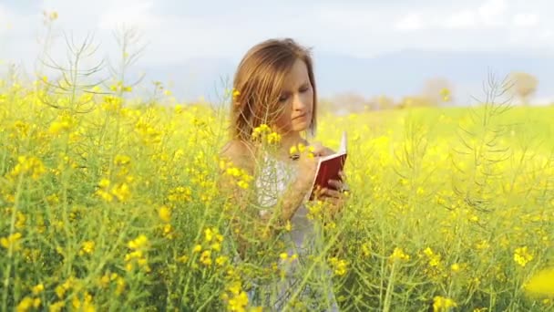 Mulher com livro e caneta escrita — Vídeo de Stock