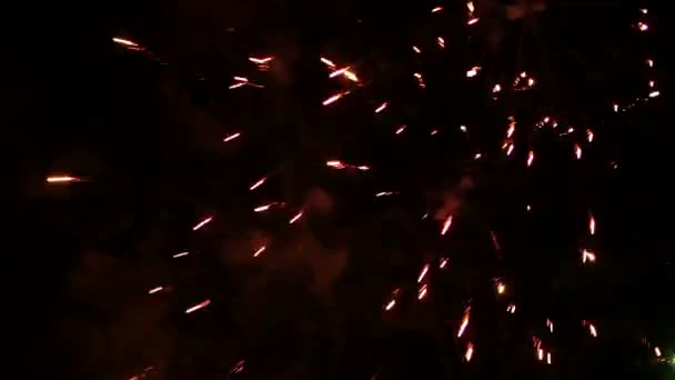 Fuochi d'artificio durante la notte estiva — Video Stock