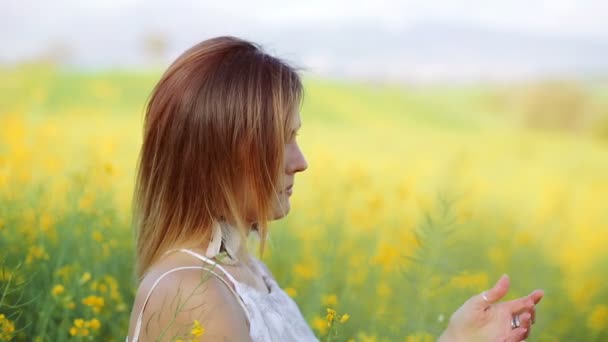 Mulher bonito no campo — Vídeo de Stock