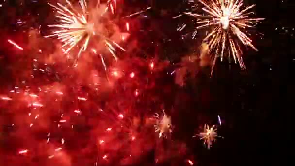 Fuegos artificiales durante la noche de verano — Vídeo de stock