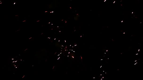 Fuegos artificiales durante la noche de verano — Vídeo de stock