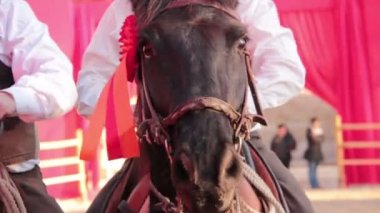 Colosseum yakınındaki roman Carnival