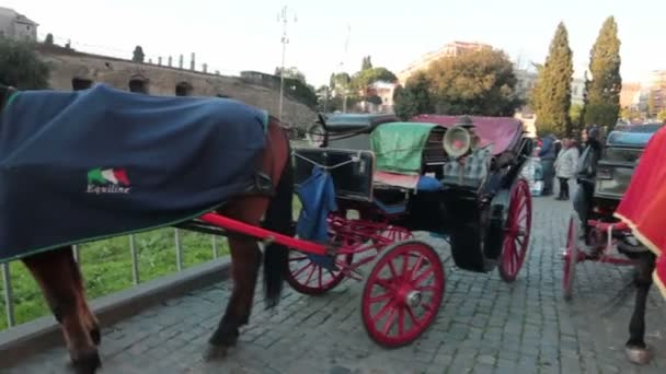 Traditionele paard en wagen — Stockvideo