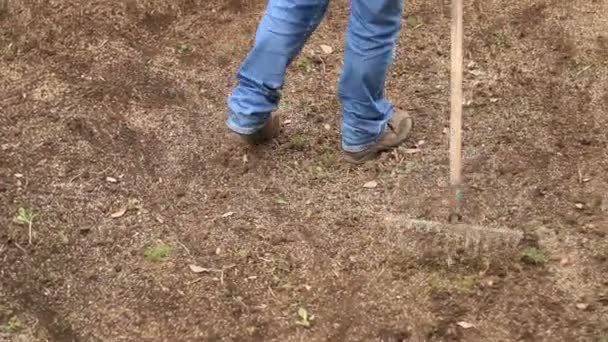 Homme plantant des graines — Video