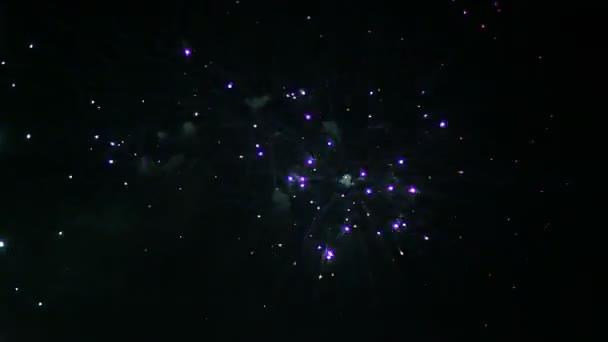 Kleurrijk vuurwerk aan de nachtelijke hemel — Stockvideo