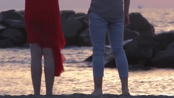 Young couple holding hands and looking at the horizon — Stock Video