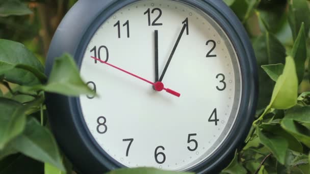 Relógio redondo preto e branco clássico — Vídeo de Stock