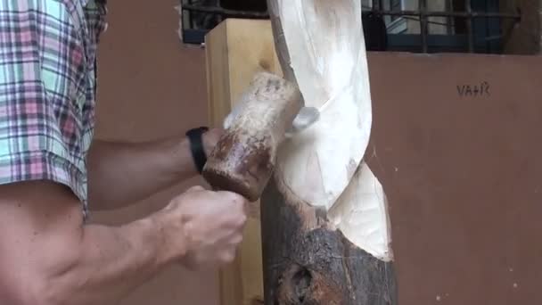 Escultor trabalhando em uma estátua de madeira — Vídeo de Stock