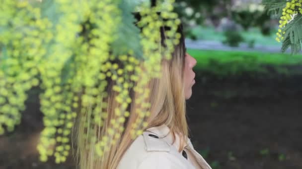 Woman smelling a mimosa branch — Stock Video