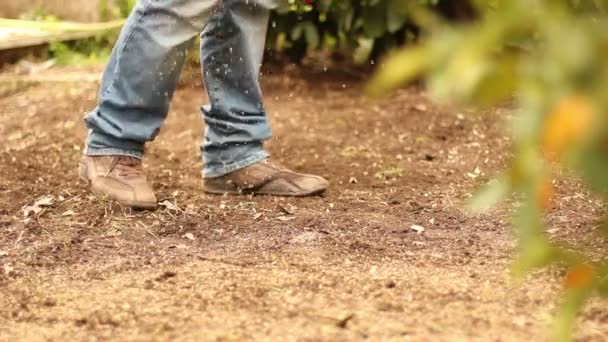 Hombre plantando semillas — Vídeo de stock