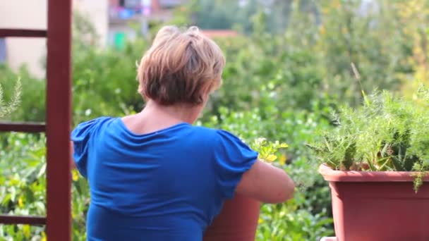 Frau pflanzt Blumen im Garten — Stockvideo