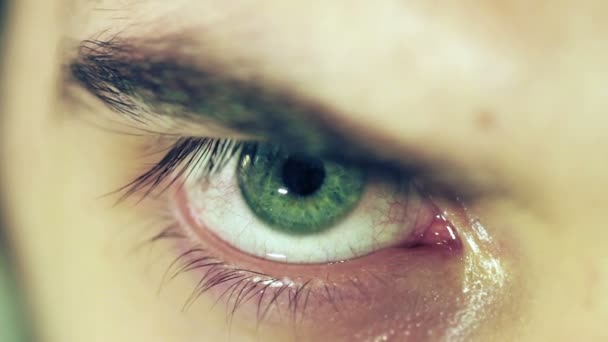 Зелені очі макросу — стокове відео