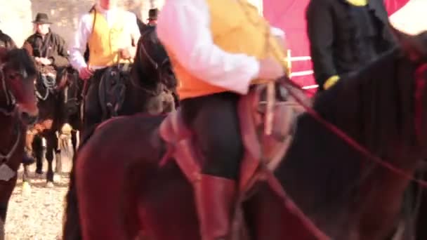 Лошадь и традиционная карета возле Колизея в Риме, Италия — стоковое видео