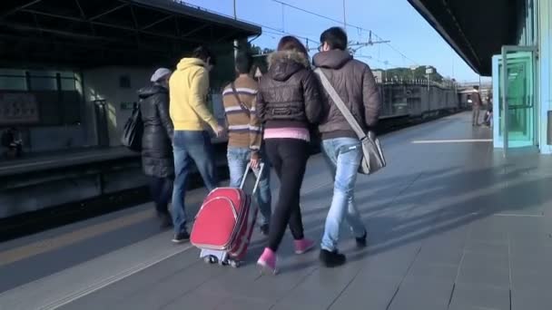 Des amis accompagnent l'ami voyageur — Video