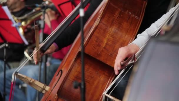 Koncert klasické hudby: hraje violoncello — Stock video