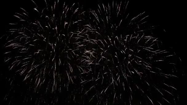 Fuegos artificiales de colores en el cielo nocturno — Vídeo de stock