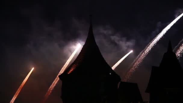 Fuochi d'artificio colorati nel cielo notturno — Video Stock