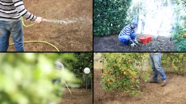 Homme plantant des graines — Video