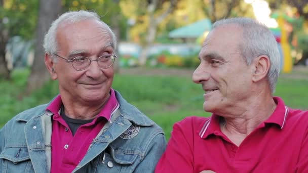 Vieux assis sur un banc dans le parc — Video