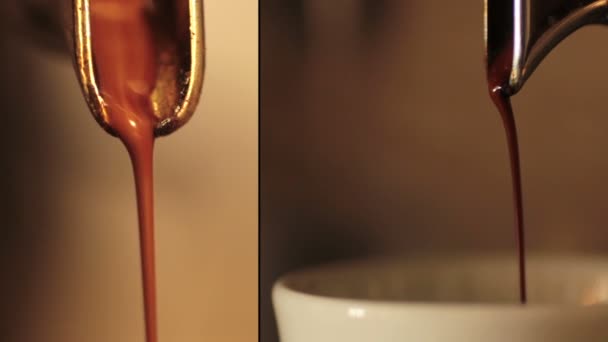 Preparare il caffè nel bar — Video Stock