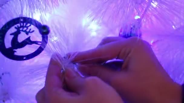 Einen Weihnachtsbaum aufstellen — Stockvideo