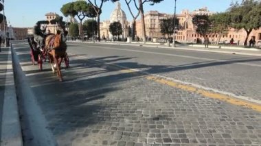 geleneksel at arabası