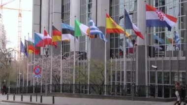 Avrupa bayrak önünde Avrupa parlament, brussels, Belçika